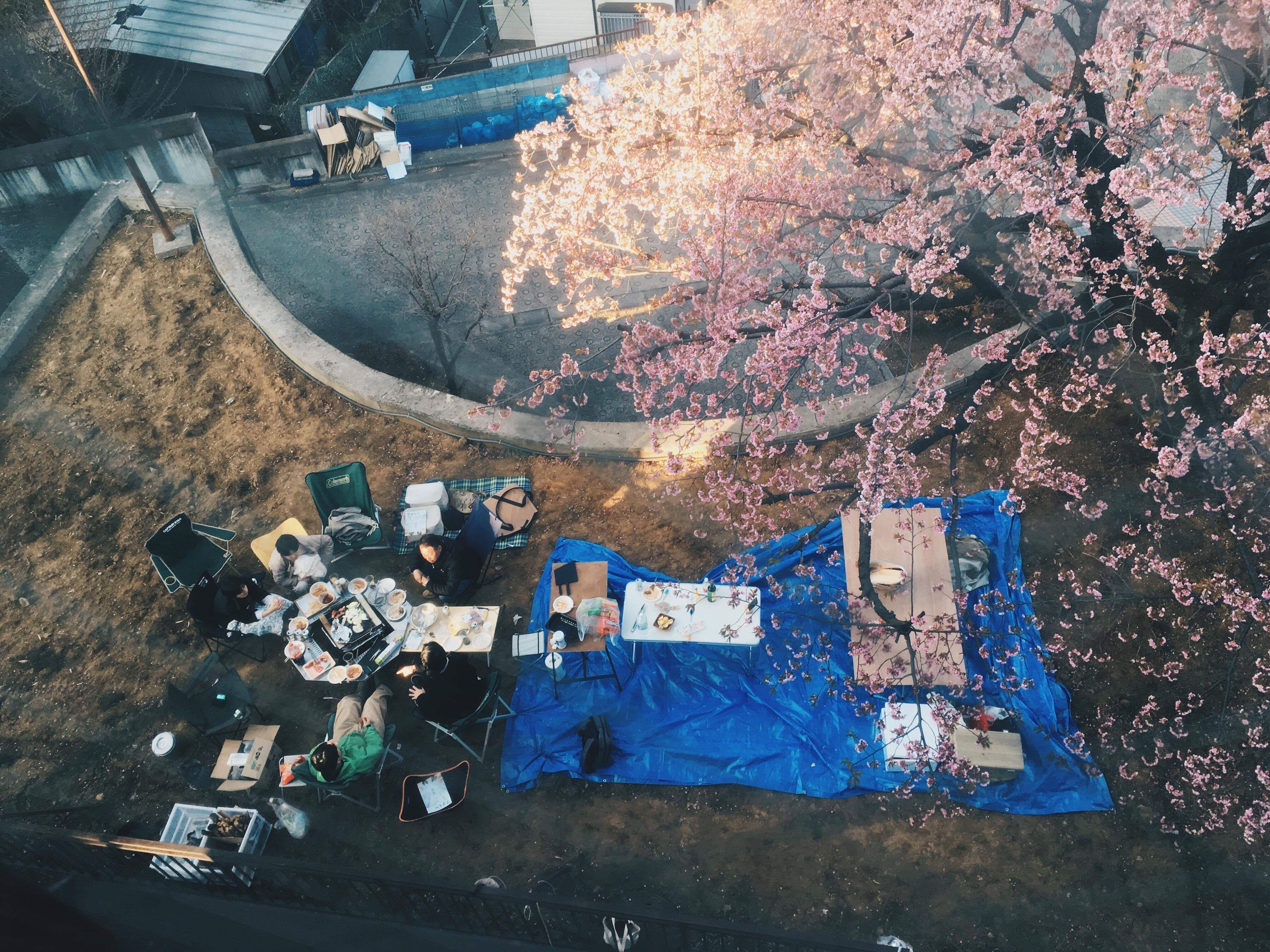 renovation image