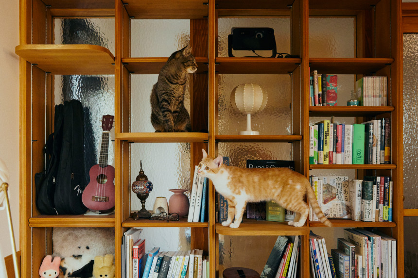 猫と私の『Purrfect Meow-zy』 