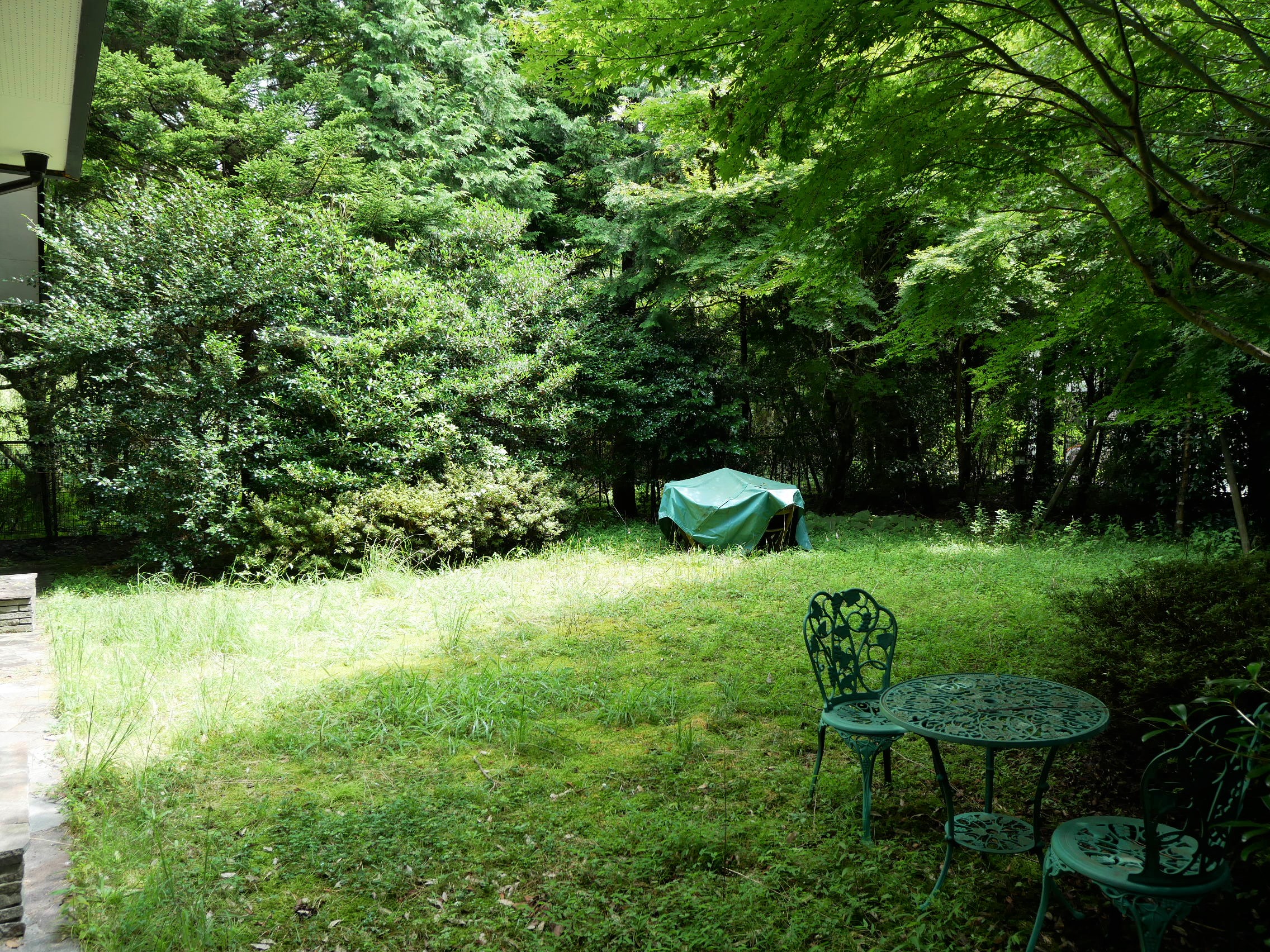 before image