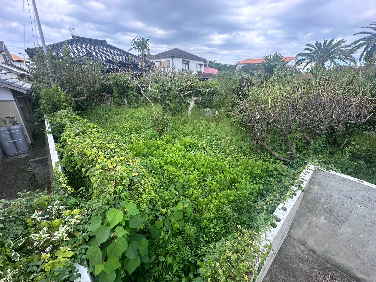 before image