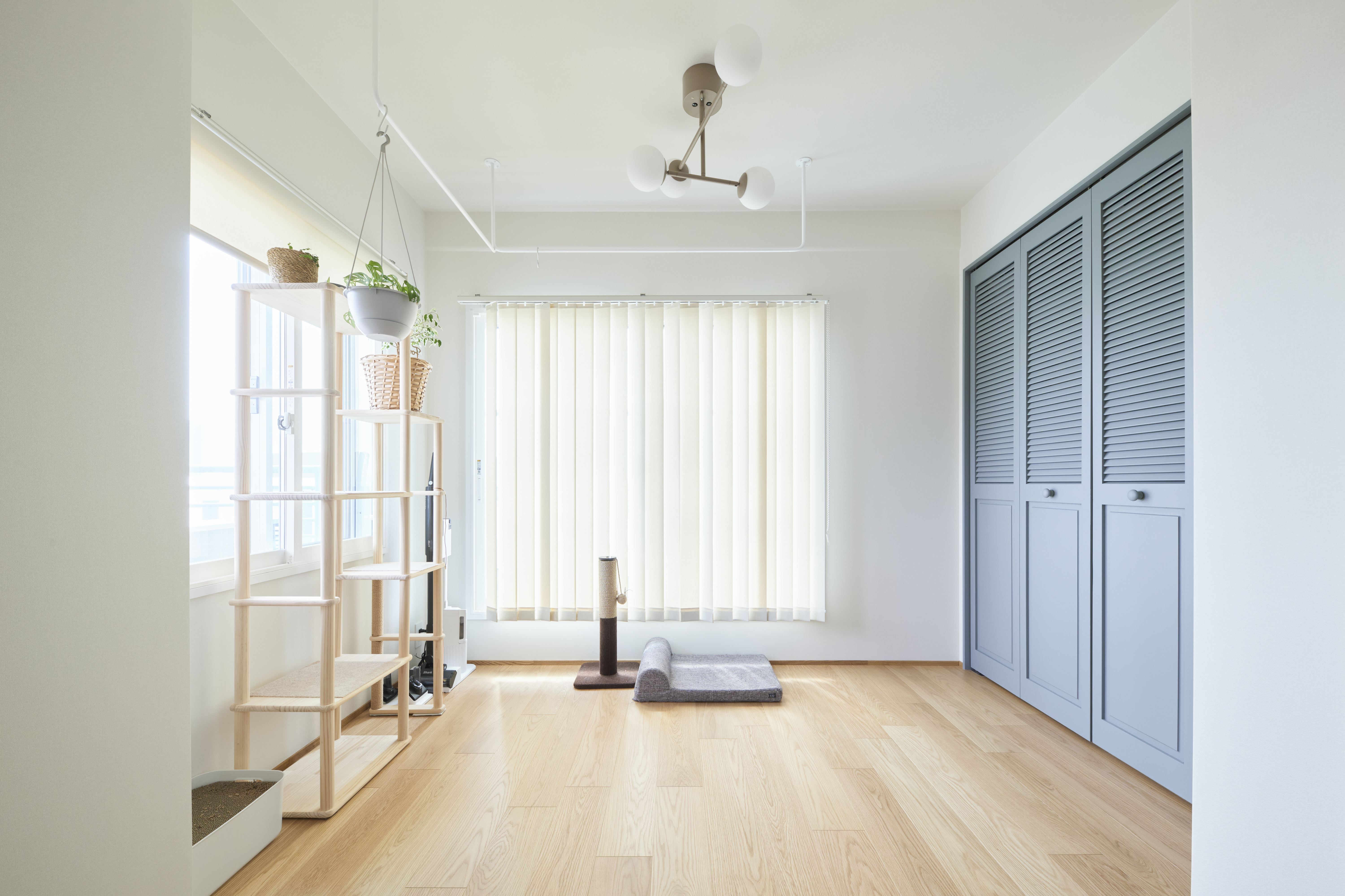 renovation image